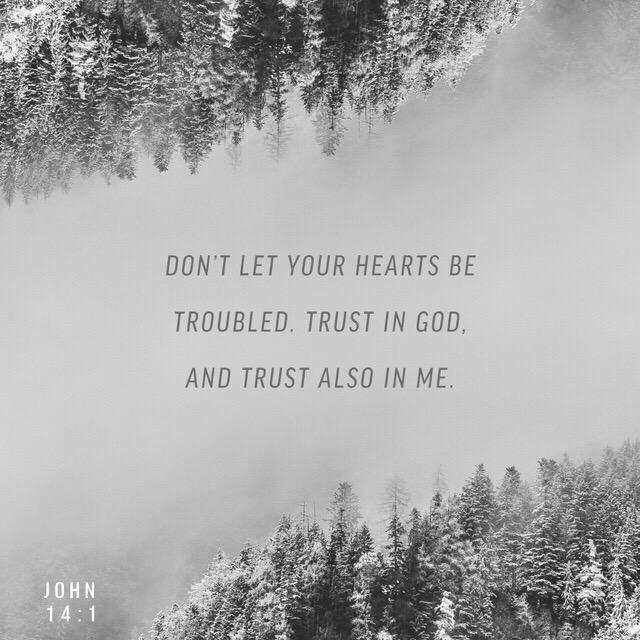 Don’t let you heart be troubled.